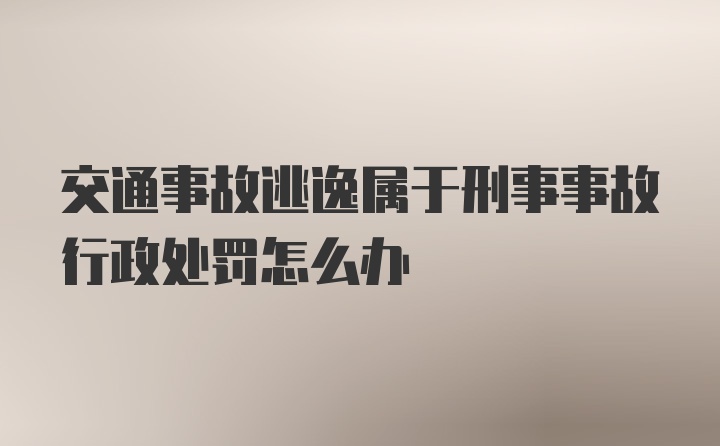 交通事故逃逸属于刑事事故行政处罚怎么办