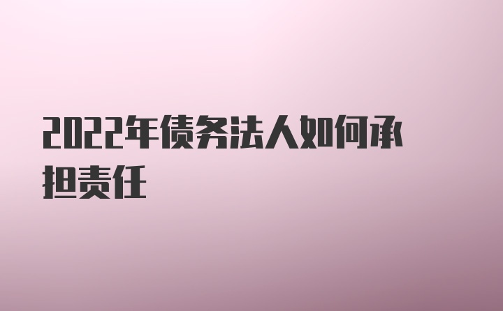 2022年债务法人如何承担责任