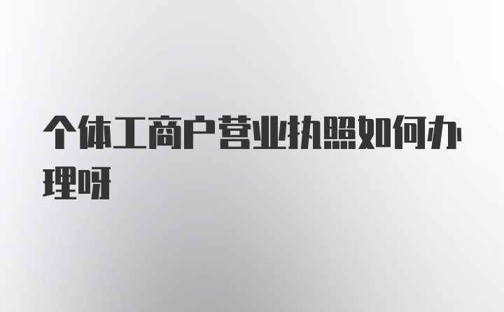 个体工商户营业执照如何办理呀