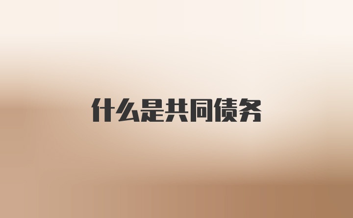 什么是共同债务