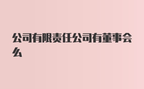 公司有限责任公司有董事会么