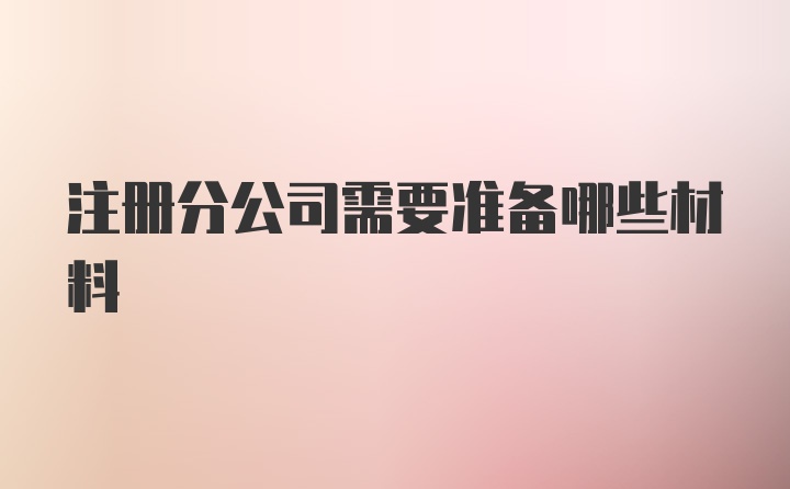 注册分公司需要准备哪些材料