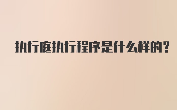 执行庭执行程序是什么样的？