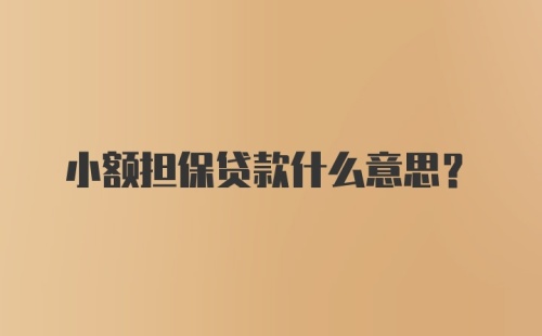 小额担保贷款什么意思?