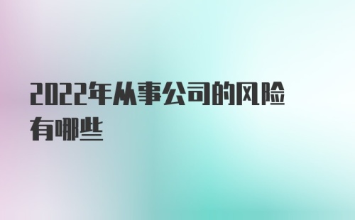 2022年从事公司的风险有哪些