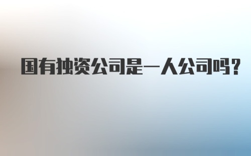 国有独资公司是一人公司吗？