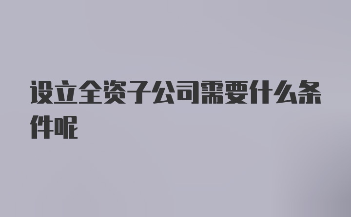 设立全资子公司需要什么条件呢