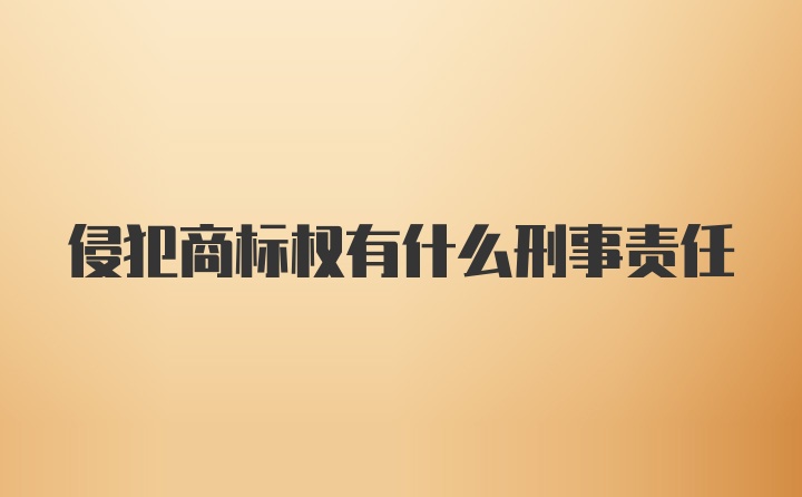 侵犯商标权有什么刑事责任