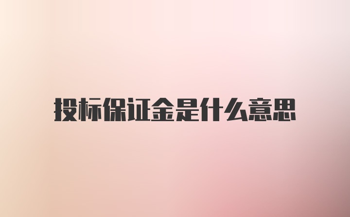 投标保证金是什么意思