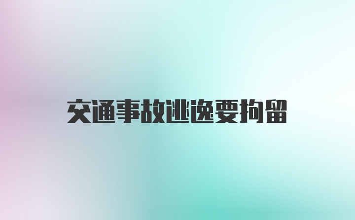 交通事故逃逸要拘留