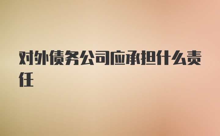 对外债务公司应承担什么责任