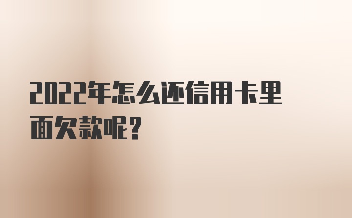 2022年怎么还信用卡里面欠款呢？