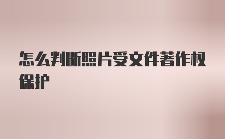 怎么判断照片受文件著作权保护