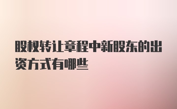 股权转让章程中新股东的出资方式有哪些