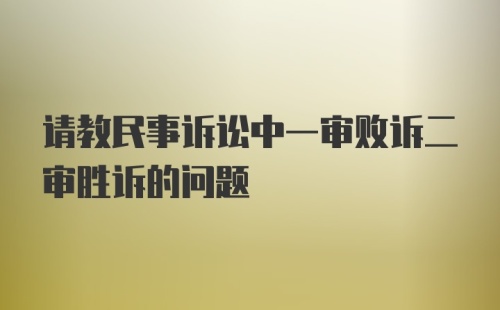 请教民事诉讼中一审败诉二审胜诉的问题