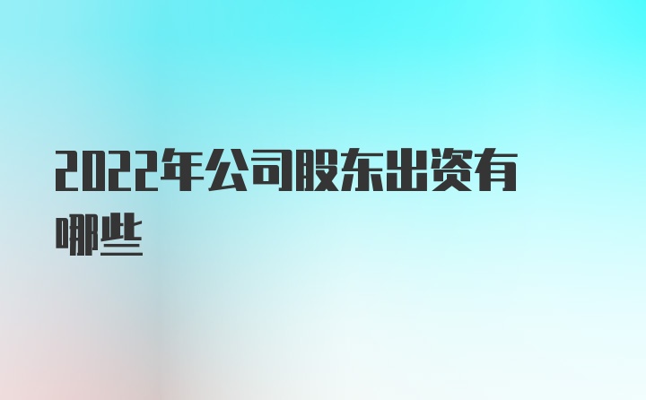 2022年公司股东出资有哪些