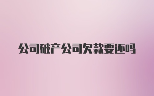 公司破产公司欠款要还吗