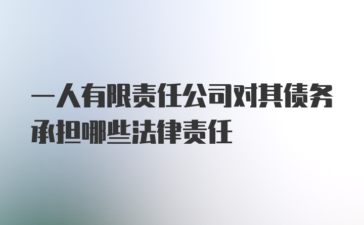 一人有限责任公司对其债务承担哪些法律责任