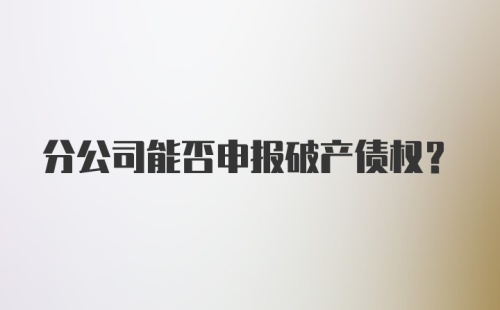 分公司能否申报破产债权？