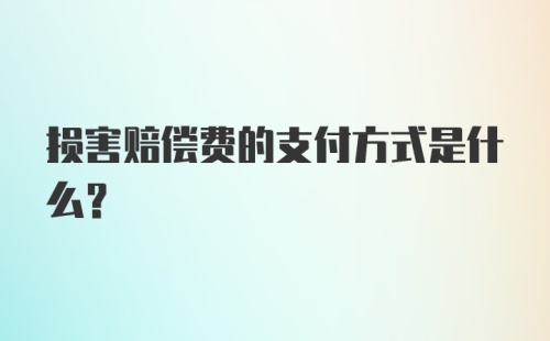 损害赔偿费的支付方式是什么？