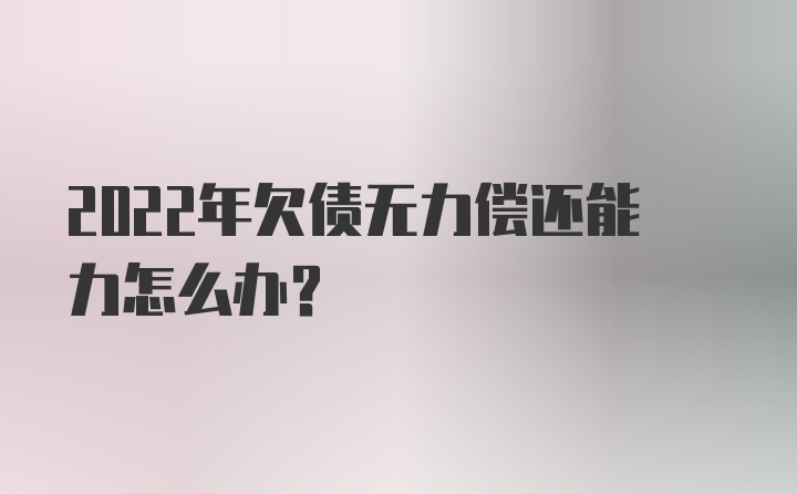 2022年欠债无力偿还能力怎么办？