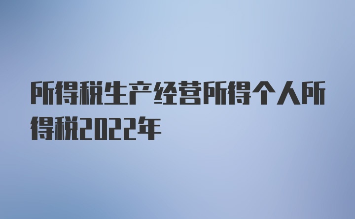 所得税生产经营所得个人所得税2022年