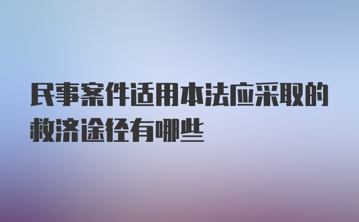 民事案件适用本法应采取的救济途径有哪些