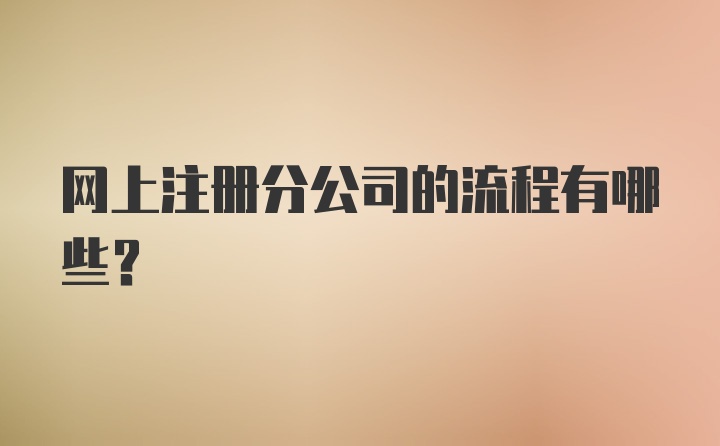 网上注册分公司的流程有哪些？