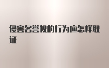 侵害名誉权的行为应怎样取证