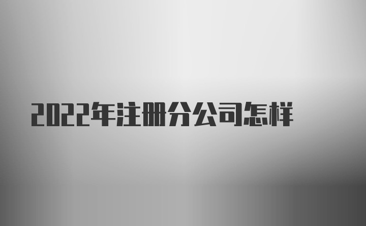 2022年注册分公司怎样