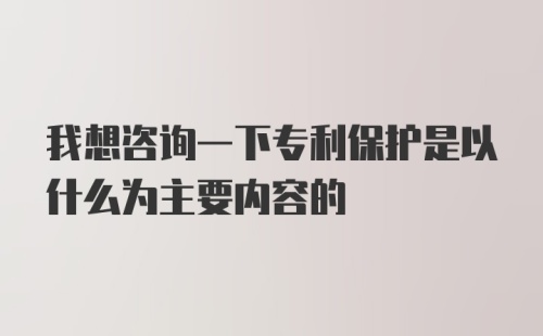 我想咨询一下专利保护是以什么为主要内容的