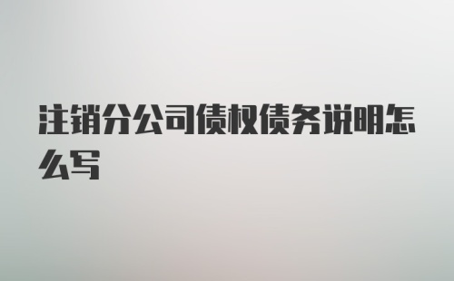 注销分公司债权债务说明怎么写