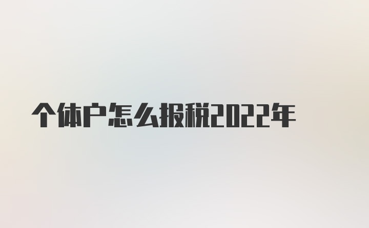 个体户怎么报税2022年