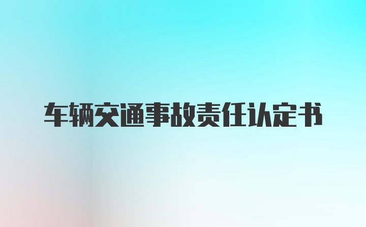 车辆交通事故责任认定书