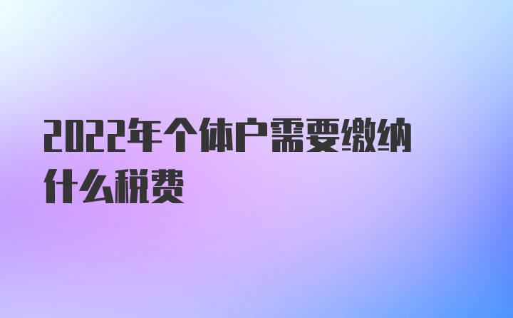 2022年个体户需要缴纳什么税费