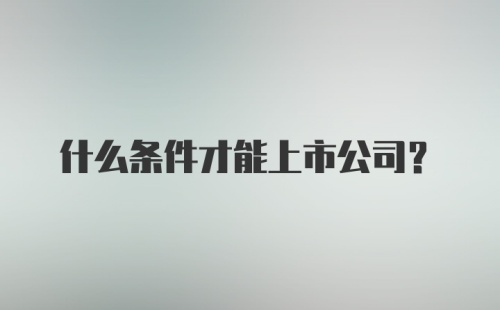 什么条件才能上市公司？