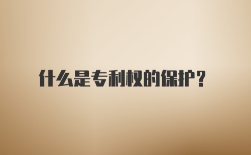 什么是专利权的保护?