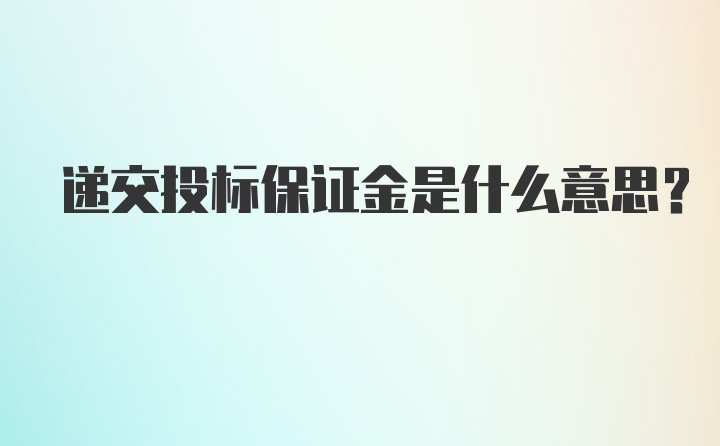 递交投标保证金是什么意思？