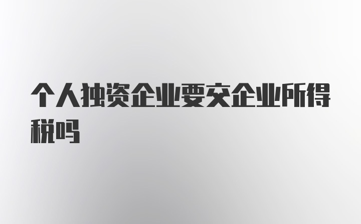 个人独资企业要交企业所得税吗