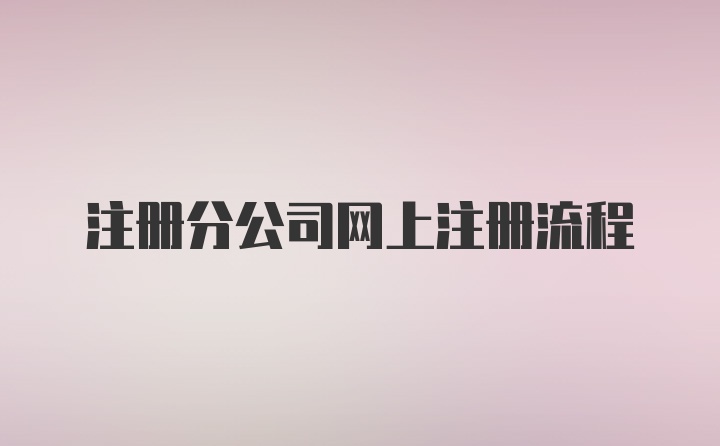 注册分公司网上注册流程