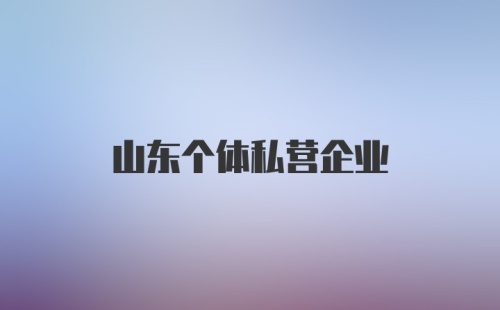 山东个体私营企业