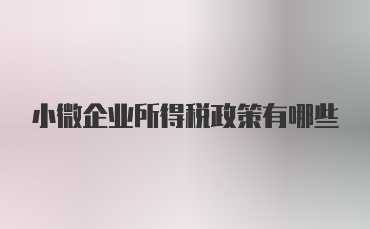 小微企业所得税政策有哪些