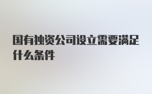 国有独资公司设立需要满足什么条件