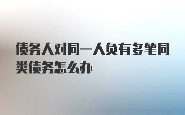 债务人对同一人负有多笔同类债务怎么办