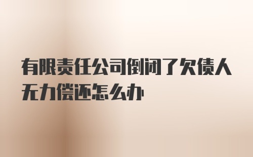 有限责任公司倒闭了欠债人无力偿还怎么办