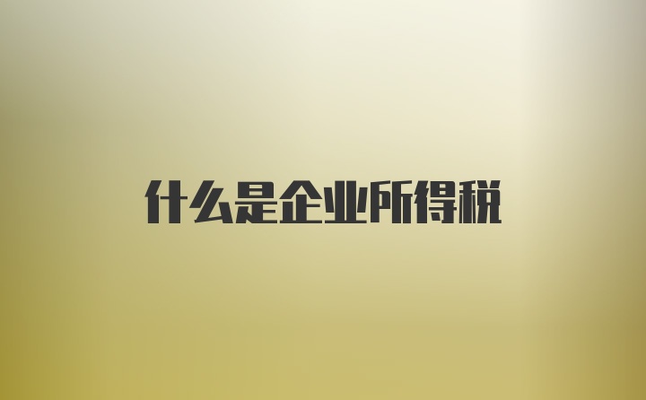 什么是企业所得税