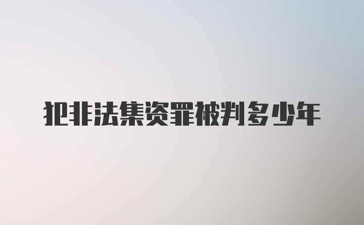 犯非法集资罪被判多少年