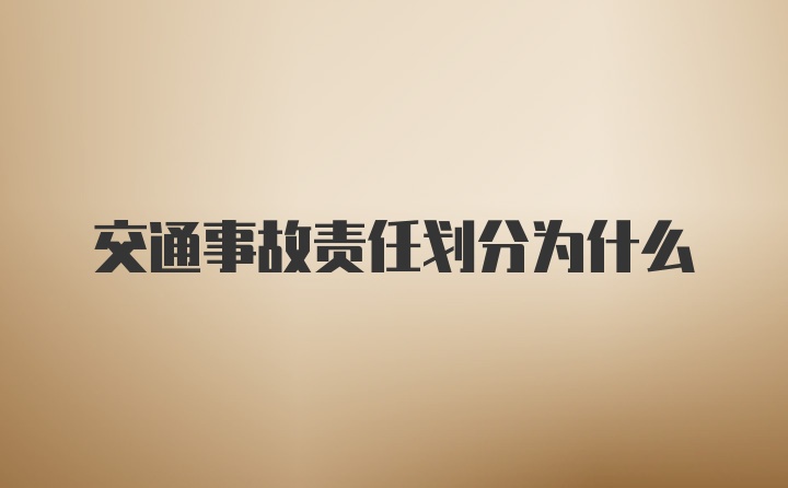 交通事故责任划分为什么