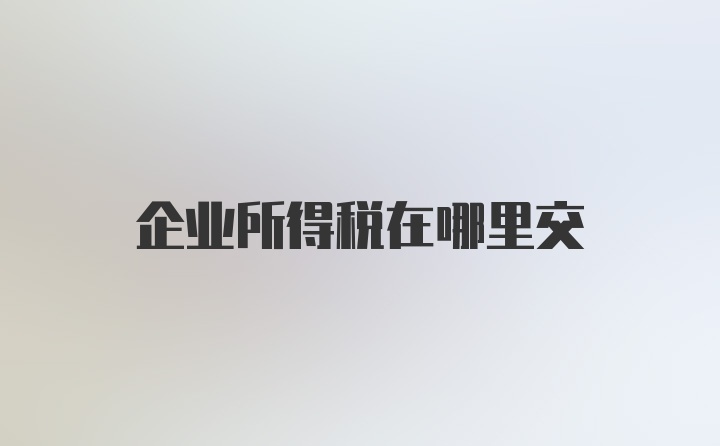 企业所得税在哪里交