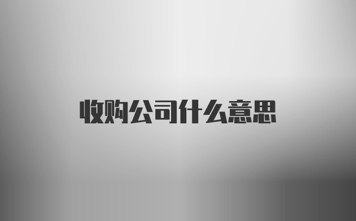 收购公司什么意思